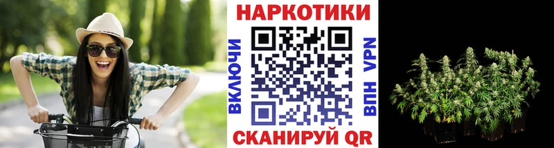 Как найти закладки Княгинино Марихуана  Галлюциногенные грибы  ГАШ  COCAIN 