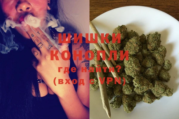 spice Касимов