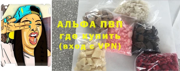 дживик Козельск