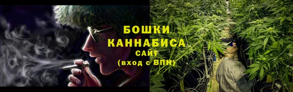 дживик Козельск
