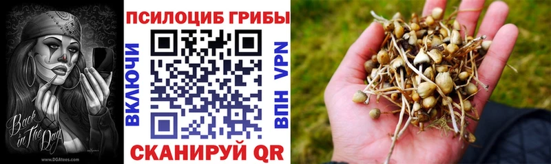 blacksprut зеркало  Княгинино  Псилоцибиновые грибы ЛСД 